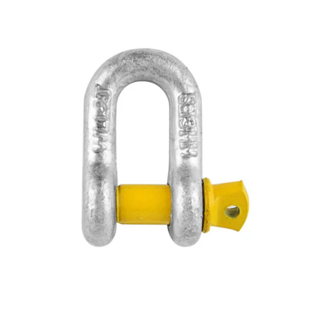 D-Shackles