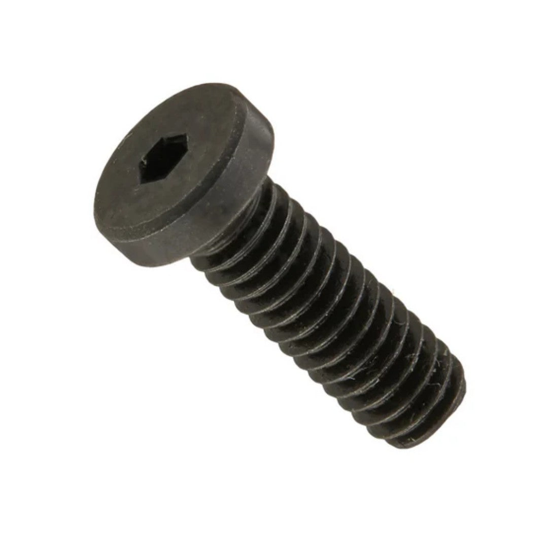 Low Head Cap Screws