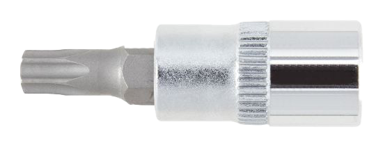 Male Torx Sockets