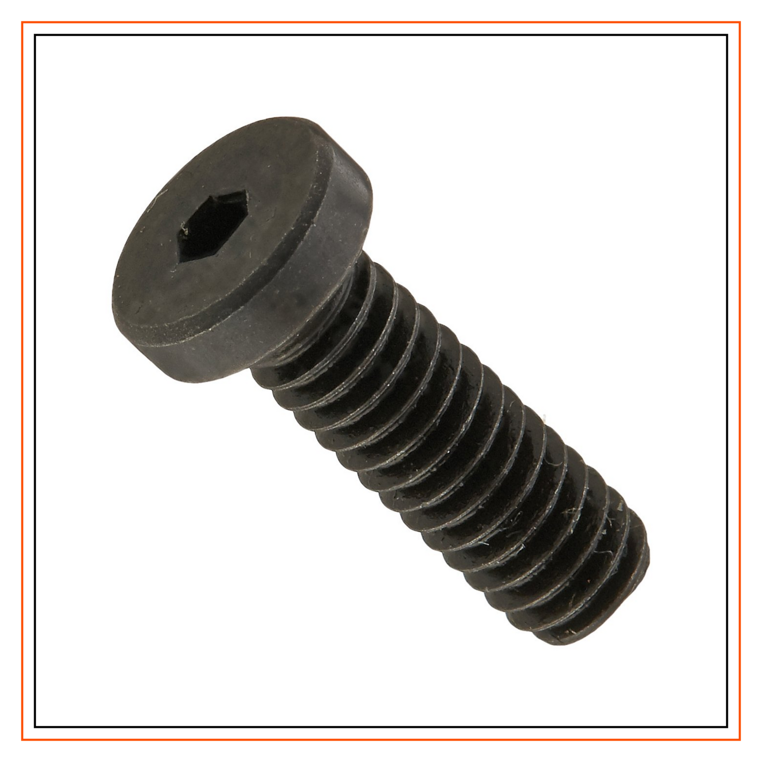 Low Head Cap Screws