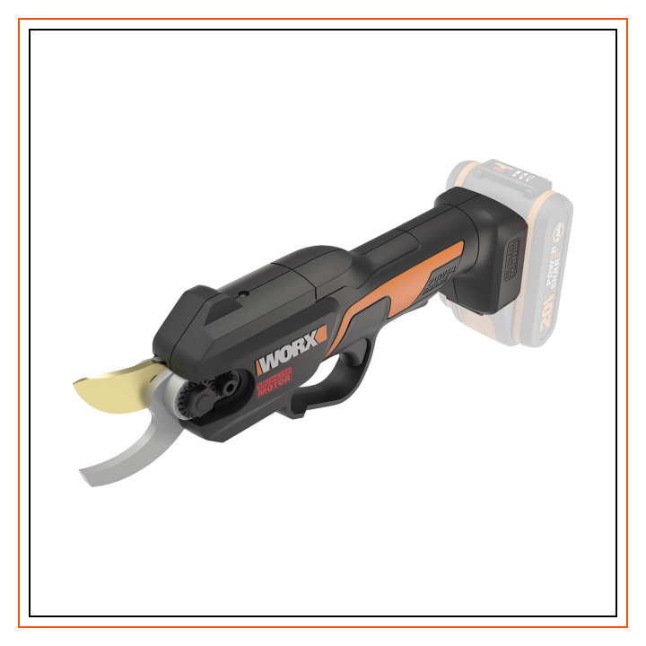 Pruning Shears