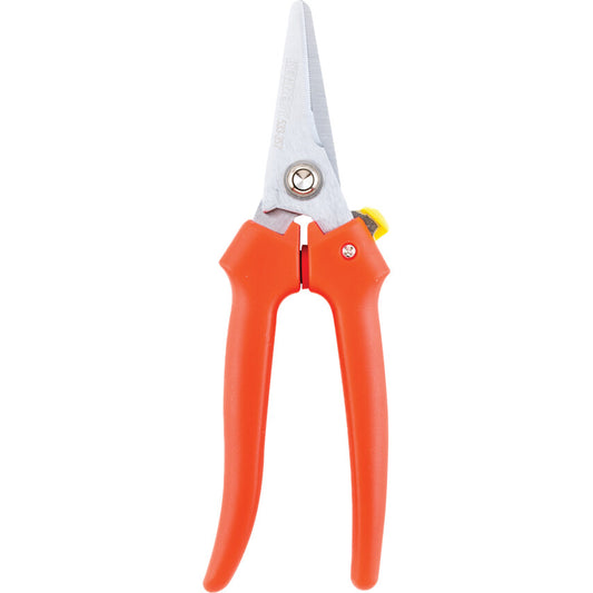 Wire Strippers, Plier Nose