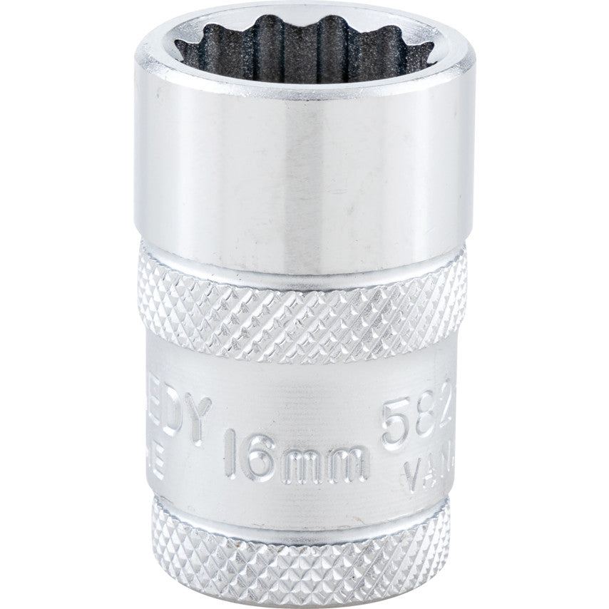 1/2in. Drive, Standard Bi-Hexagon Socket, 16mm, Metric, Polished Finish